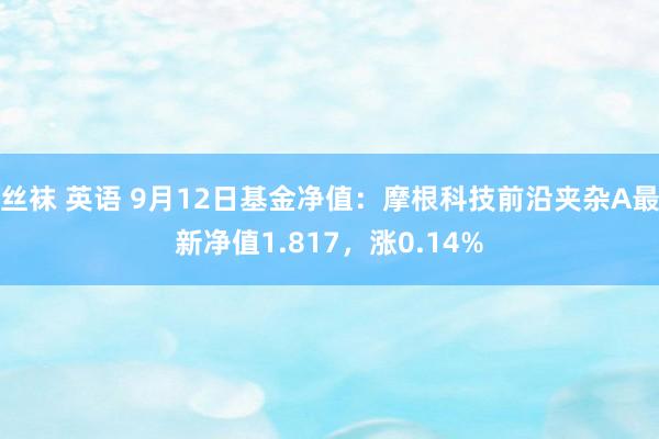 丝袜 英语 9月12日基金净值：摩根科技前沿夹杂A最新净值1.817，涨0.14%