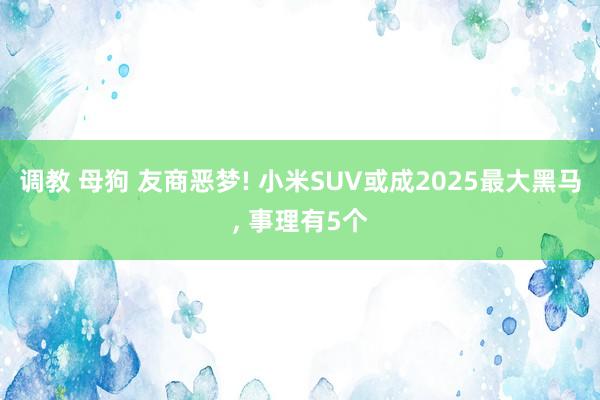 调教 母狗 友商恶梦! 小米SUV或成2025最大黑马, 事理有5个