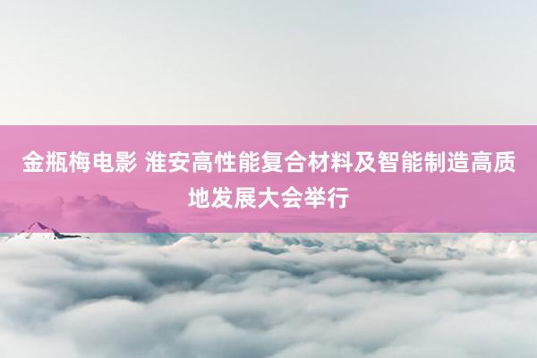 金瓶梅电影 淮安高性能复合材料及智能制造高质地发展大会举行