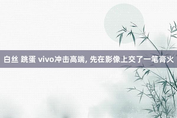 白丝 跳蛋 vivo冲击高端, 先在影像上交了一笔膏火