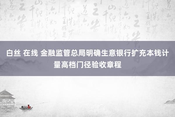 白丝 在线 金融监管总局明确生意银行扩充本钱计量高档门径验收章程