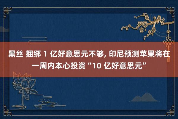 黑丝 捆绑 1 亿好意思元不够, 印尼预测苹果将在一周内本心投资“10 亿好意思元”