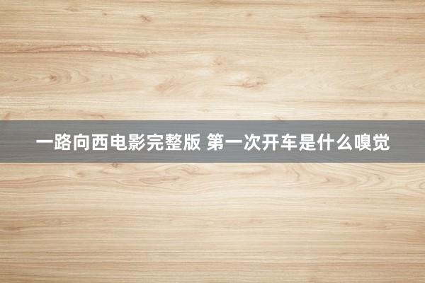 一路向西电影完整版 第一次开车是什么嗅觉