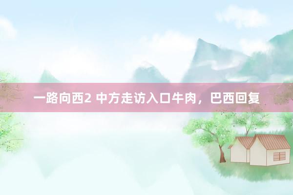 一路向西2 中方走访入口牛肉，巴西回复