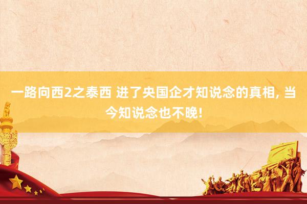 一路向西2之泰西 进了央国企才知说念的真相, 当今知说念也不晚!