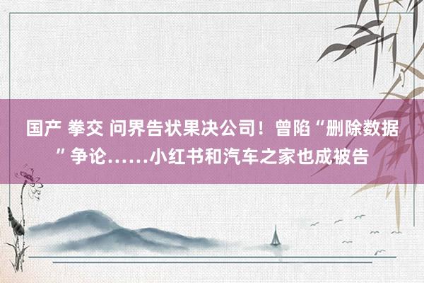 国产 拳交 问界告状果决公司！曾陷“删除数据”争论……小红书和汽车之家也成被告