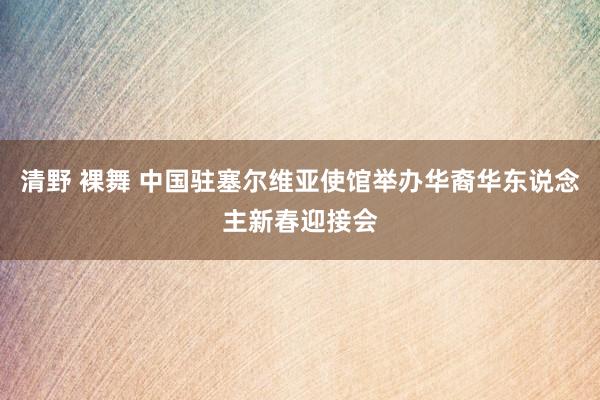 清野 裸舞 中国驻塞尔维亚使馆举办华裔华东说念主新春迎接会