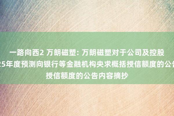 一路向西2 万朗磁塑: 万朗磁塑对于公司及控股子公司2025年度预测向银行等金融机构央求概括授信额度的公告内容摘抄