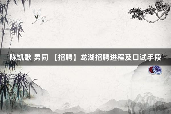 陈凯歌 男同 【招聘】龙湖招聘进程及口试手段