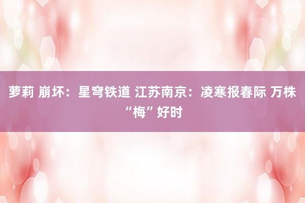 萝莉 崩坏：星穹铁道 江苏南京：凌寒报春际 万株“梅”好时