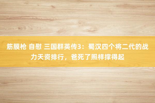 筋膜枪 自慰 三国群英传3：蜀汉四个将二代的战力天资排行，爸死了照样撑得起