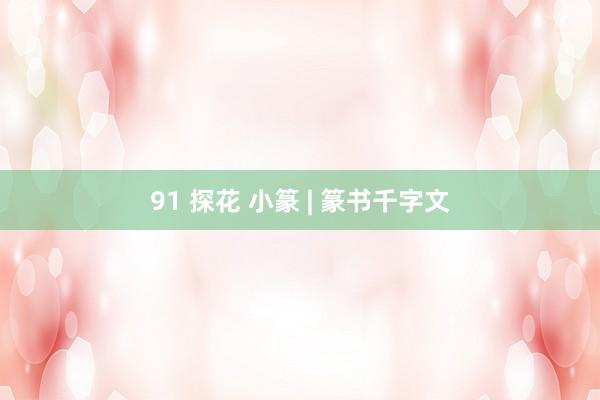 91 探花 小篆 | 篆书千字文