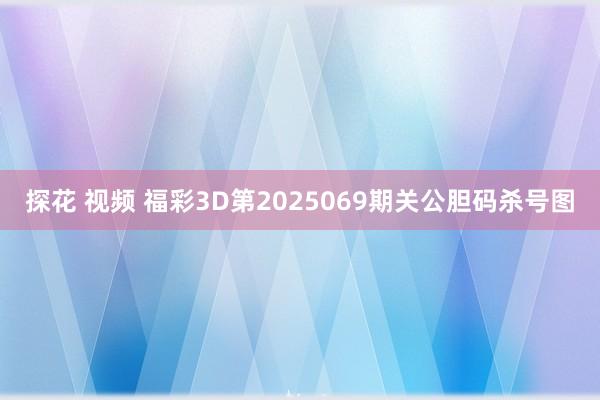 探花 视频 福彩3D第2025069期关公胆码杀号图