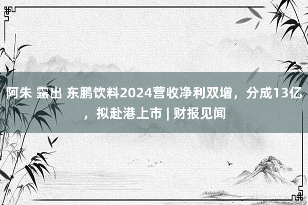 阿朱 露出 东鹏饮料2024营收净利双增，分成13亿，拟赴港上市 | 财报见闻