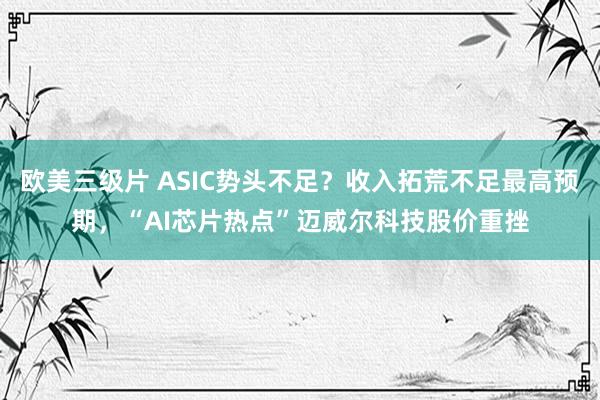 欧美三级片 ASIC势头不足？收入拓荒不足最高预期，“AI芯片热点”迈威尔科技股价重挫