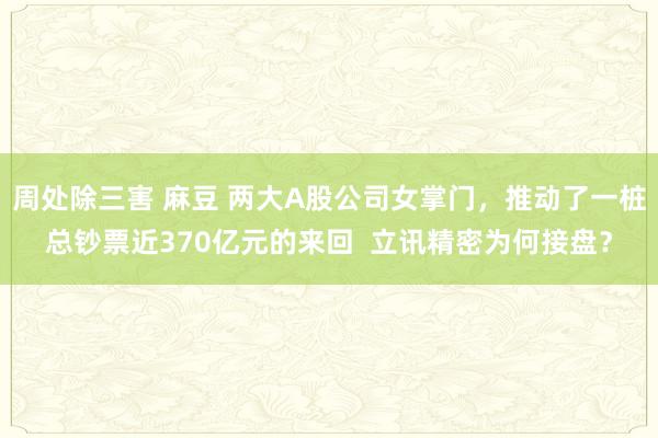 周处除三害 麻豆 两大A股公司女掌门，推动了一桩总钞票近370亿元的来回  立讯精密为何接盘？