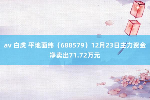 av 白虎 平地面纬（688579）12月23日主力资金净卖出71.72万元