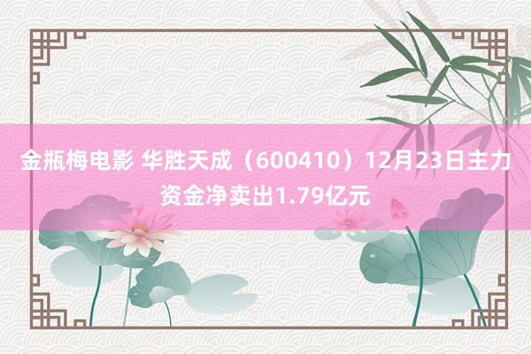 金瓶梅电影 华胜天成（600410）12月23日主力资金净卖出1.79亿元