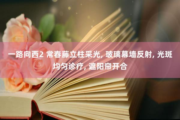 一路向西2 常春藤立柱采光, 玻璃幕墙反射, 光斑均匀诊疗, 遮阳帘开合
