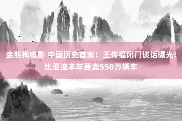金瓶梅电影 中国历史首家！王传福闭门谈话曝光：比亚迪本年要卖550万辆车
