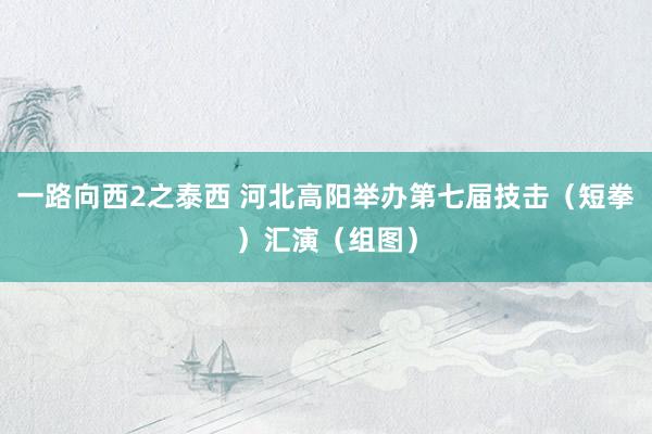 一路向西2之泰西 河北高阳举办第七届技击（短拳）汇演（组图）