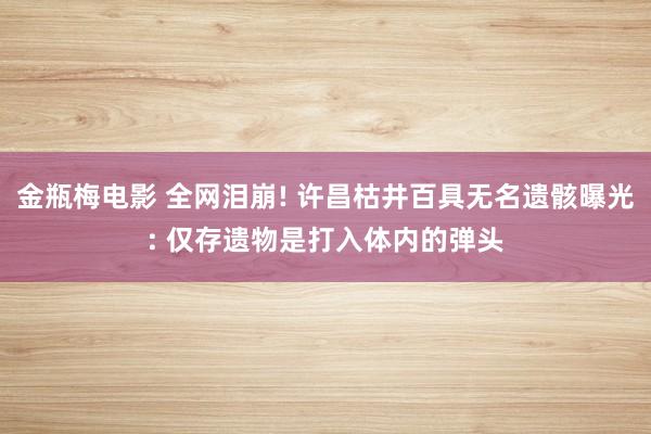 金瓶梅电影 全网泪崩! 许昌枯井百具无名遗骸曝光: 仅存遗物是打入体内的弹头