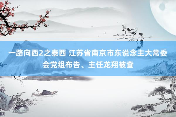 一路向西2之泰西 江苏省南京市东说念主大常委会党组布告、主任龙翔被查