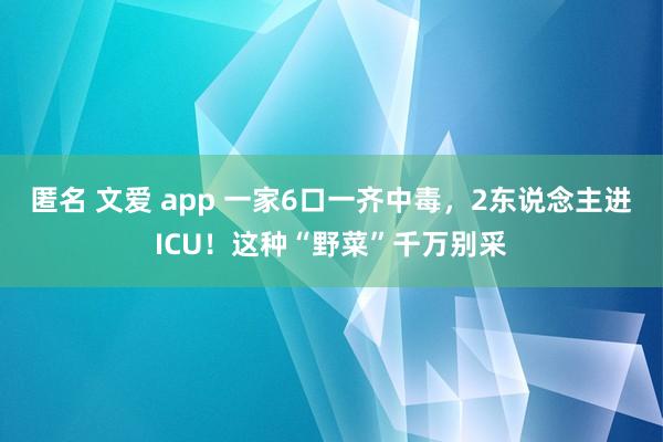 匿名 文爱 app 一家6口一齐中毒，2东说念主进ICU！这种“野菜”千万别采