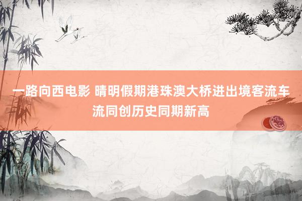 一路向西电影 晴明假期港珠澳大桥进出境客流车流同创历史同期新高