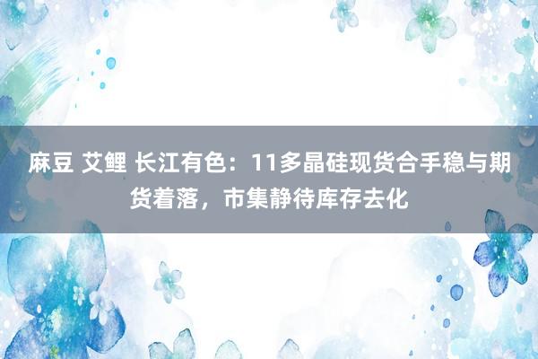 麻豆 艾鲤 长江有色：11多晶硅现货合手稳与期货着落，市集静待库存去化