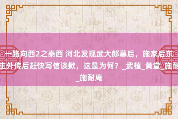 一路向西2之泰西 河北发现武大郎墓后，施家后东谈主外传后赶快写信谈歉，这是为何？_武植_黄堂_施耐庵