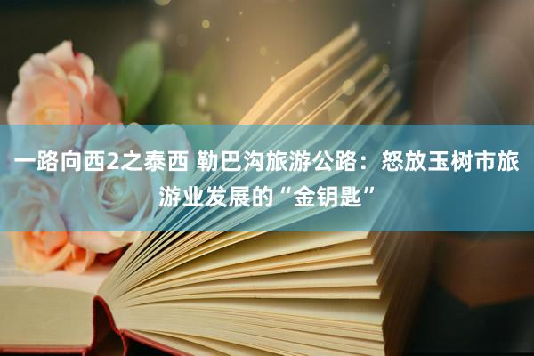 一路向西2之泰西 勒巴沟旅游公路：怒放玉树市旅游业发展的“金钥匙”
