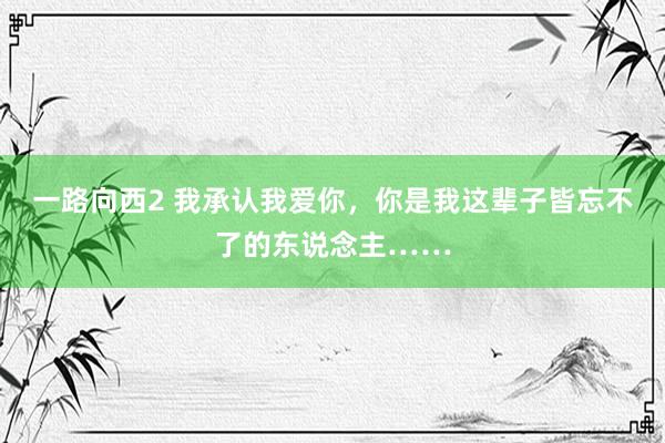 一路向西2 我承认我爱你，你是我这辈子皆忘不了的东说念主……