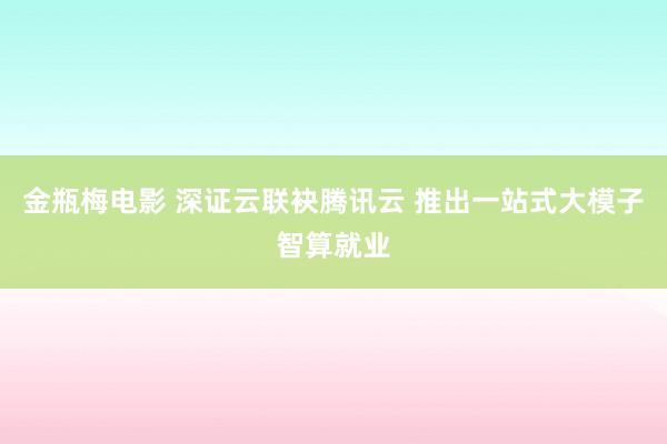 金瓶梅电影 深证云联袂腾讯云 推出一站式大模子智算就业
