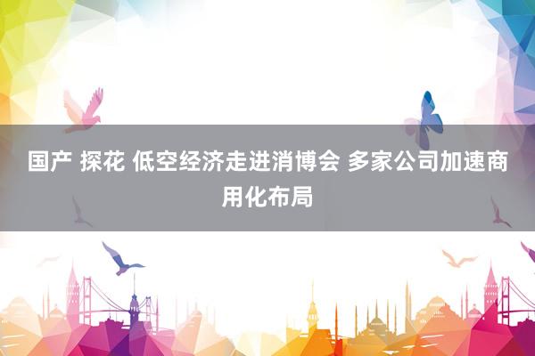 国产 探花 低空经济走进消博会 多家公司加速商用化布局