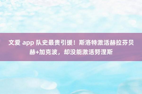 文爱 app 队史最贵引援！斯洛特激活赫拉芬贝赫+加克波，却没能激活努涅斯