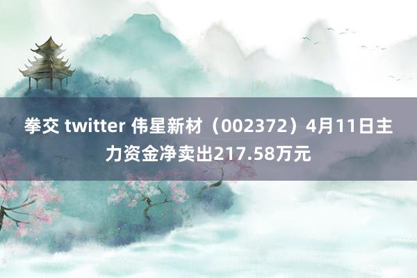 拳交 twitter 伟星新材（002372）4月11日主力资金净卖出217.58万元