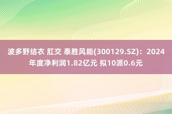 波多野结衣 肛交 泰胜风能(300129.SZ)：2024年度净利润1.82亿元 拟10派0.6元