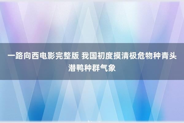 一路向西电影完整版 我国初度摸清极危物种青头潜鸭种群气象