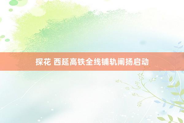 探花 西延高铁全线铺轨阐扬启动