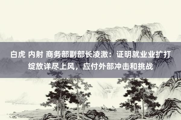 白虎 内射 商务部副部长凌激：证明就业业扩打绽放详尽上风，应付外部冲击和挑战