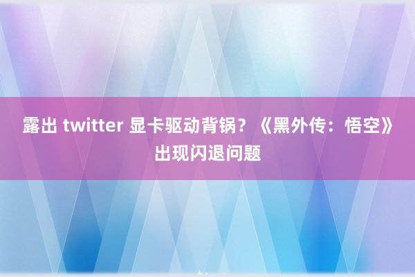 露出 twitter 显卡驱动背锅？《黑外传：悟空》出现闪退问题