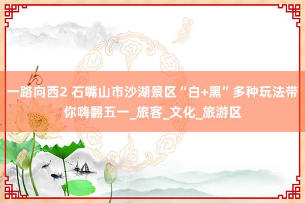 一路向西2 石嘴山市沙湖景区“白+黑”多种玩法带你嗨翻五一_旅客_文化_旅游区