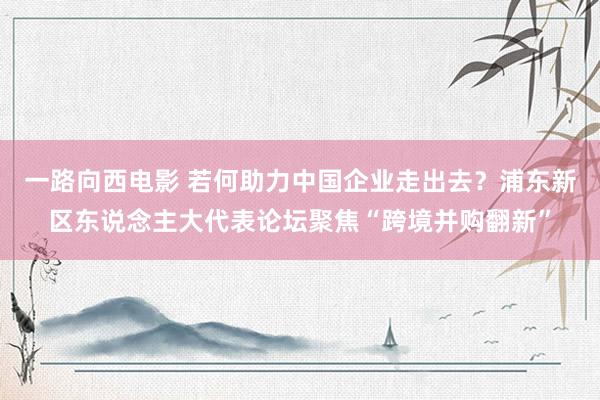 一路向西电影 若何助力中国企业走出去？浦东新区东说念主大代表论坛聚焦“跨境并购翻新”