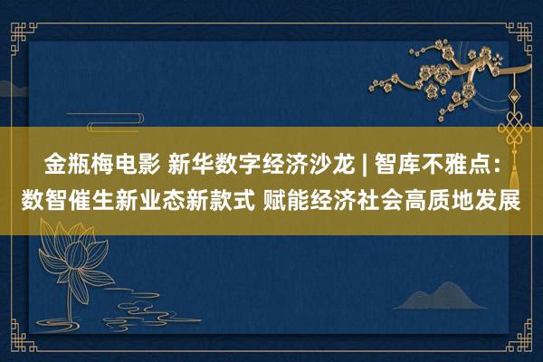金瓶梅电影 新华数字经济沙龙 | 智库不雅点：数智催生新业态新款式 赋能经济社会高质地发展
