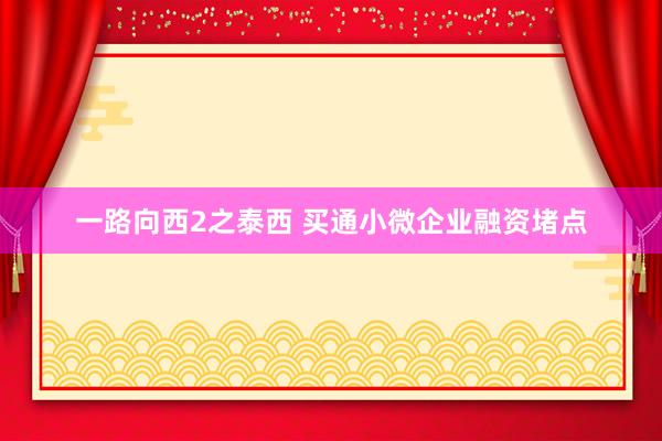 一路向西2之泰西 买通小微企业融资堵点