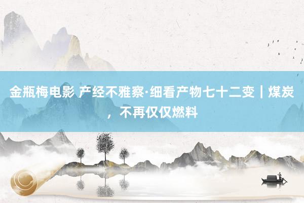 金瓶梅电影 产经不雅察·细看产物七十二变｜煤炭，不再仅仅燃料
