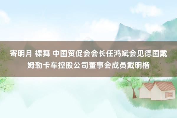 寄明月 裸舞 中国贸促会会长任鸿斌会见德国戴姆勒卡车控股公司董事会成员戴明楷