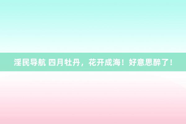 淫民导航 四月牡丹，花开成海！好意思醉了！