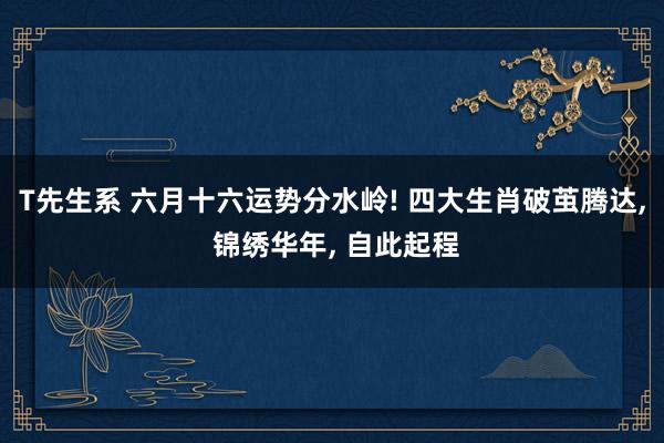 T先生系 六月十六运势分水岭! 四大生肖破茧腾达， 锦绣华年， 自此起程